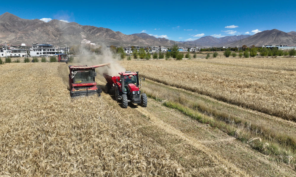 件大事” 谱写高原新篇开元棋牌试玩抓好“四(图3) 件大事” 谱写高原新篇开元棋牌试玩抓好“四(图3)