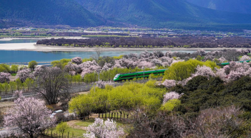 件大事” 谱写高原新篇开元棋牌试玩抓好“四(图21) 件大事” 谱写高原新篇开元棋牌试玩抓好“四(图21)