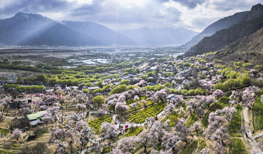 件大事” 谱写高原新篇开元棋牌试玩抓好“四(图24) 件大事” 谱写高原新篇开元棋牌试玩抓好“四(图24)