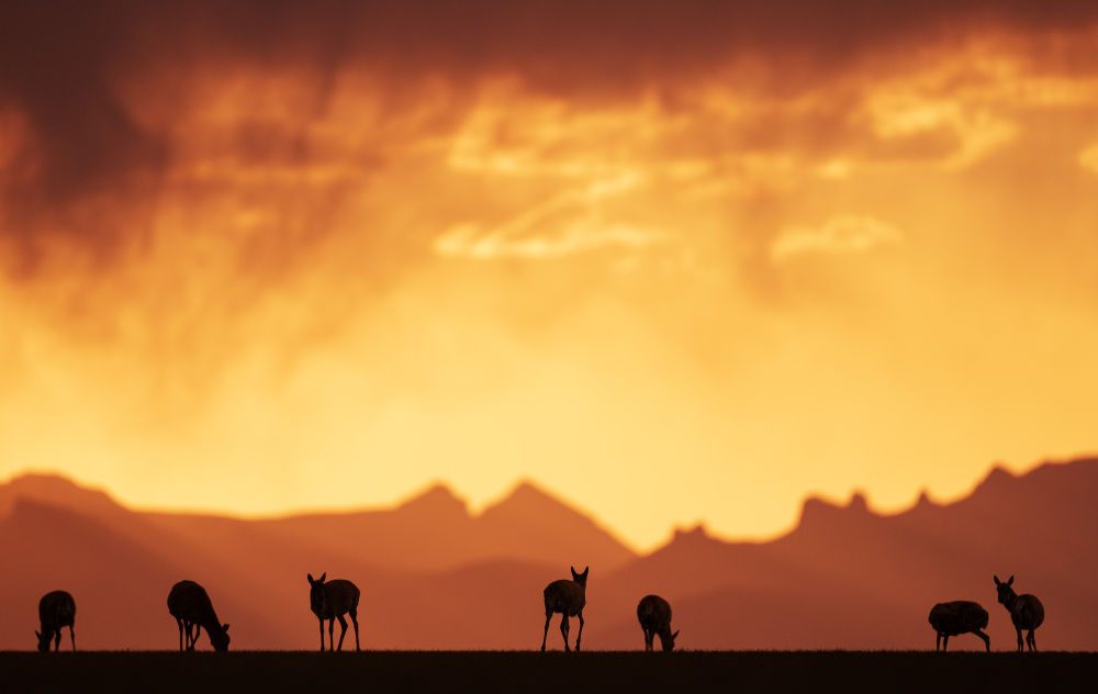 件大事” 谱写高原新篇开元棋牌试玩抓好“四(图23) 件大事” 谱写高原新篇开元棋牌试玩抓好“四(图23)